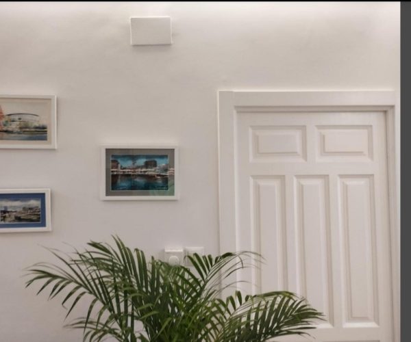 screenshot 20250211 123507 pulse