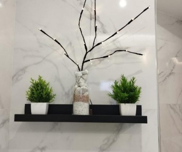 screenshot 20250211 123551 pulse