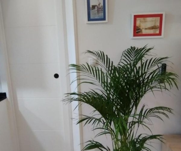 screenshot 20250211 123615 pulse