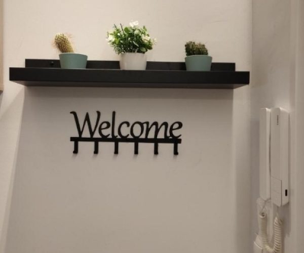 screenshot 20250211 123623 pulse